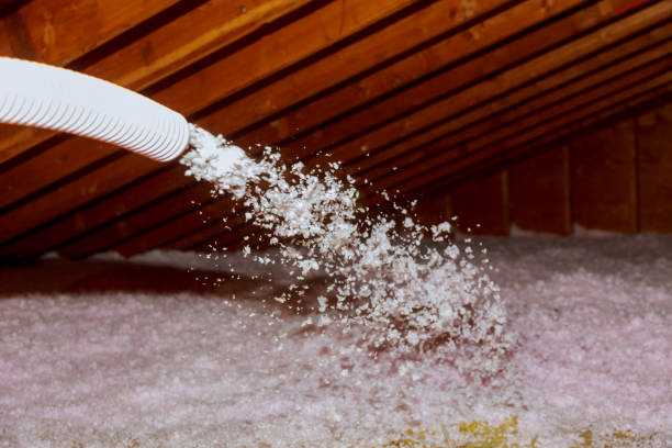 Best Insulation Contractor Near Me  in Scottdale, GA