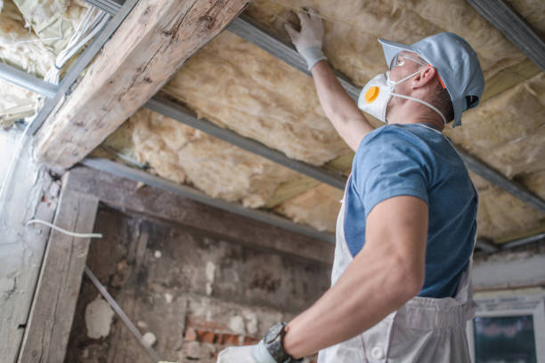 Best Insulation Repair Services  in Scottdale, GA