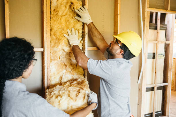 Best Wall Insulation Contractor  in Scottdale, GA