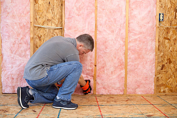 Best Insulation Contractors for Homes  in Scottdale, GA