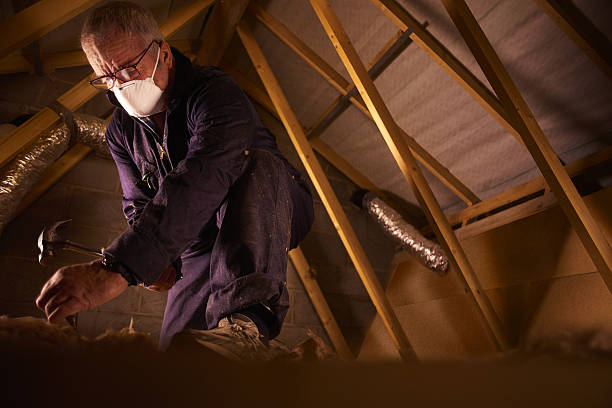 Best Professional Insulation Contractor  in Scottdale, GA